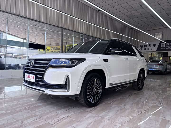 CS95 2019 Model 2.0T AWDPremium Version