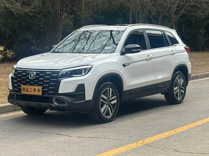 CS75 2024 Model Edition 1.5T DCTLuxury Version