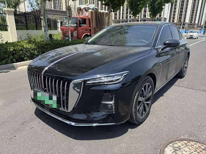 H5 PHEV 2025 Model 170 Edition