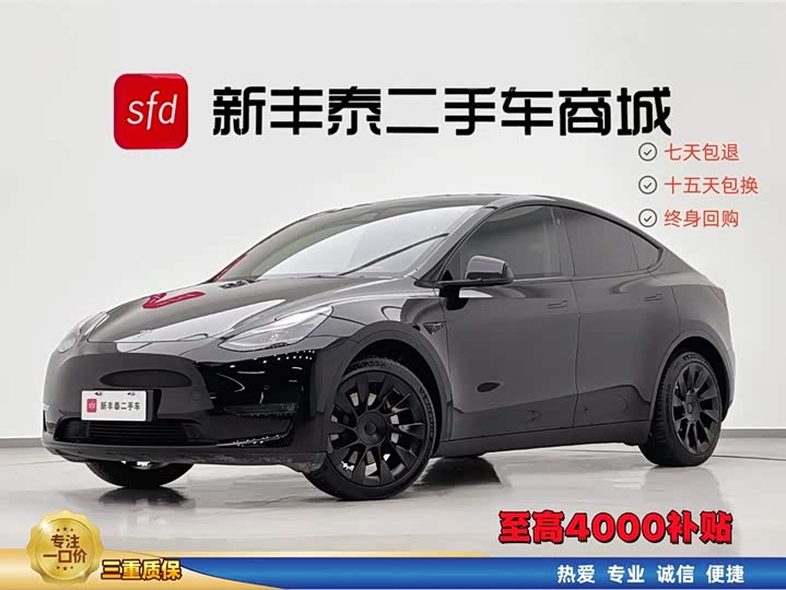 Model Y 2021 model standard range rear-wheel drive version 