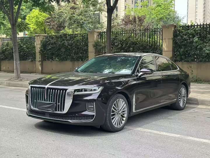 H9 2020 Model 2.0T Edition