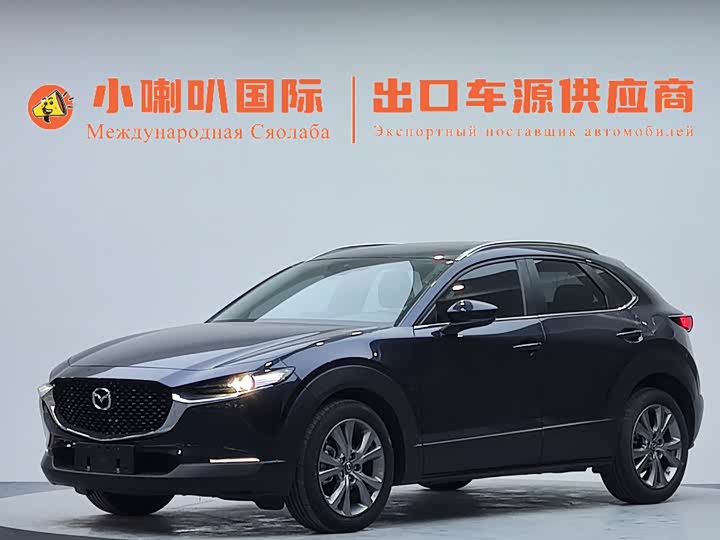Mazda CX-30 2021 2.0L automatic Jiayue type