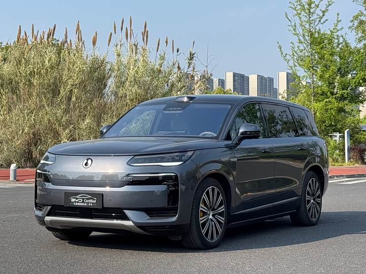 2025 Denza N9 2025 flagship model