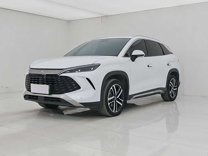 Song L DM-i 2024 model 112km leading model
