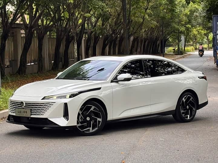 Yida 2023 Blue Whale NE 1.5T GDI DCT Flagship Type