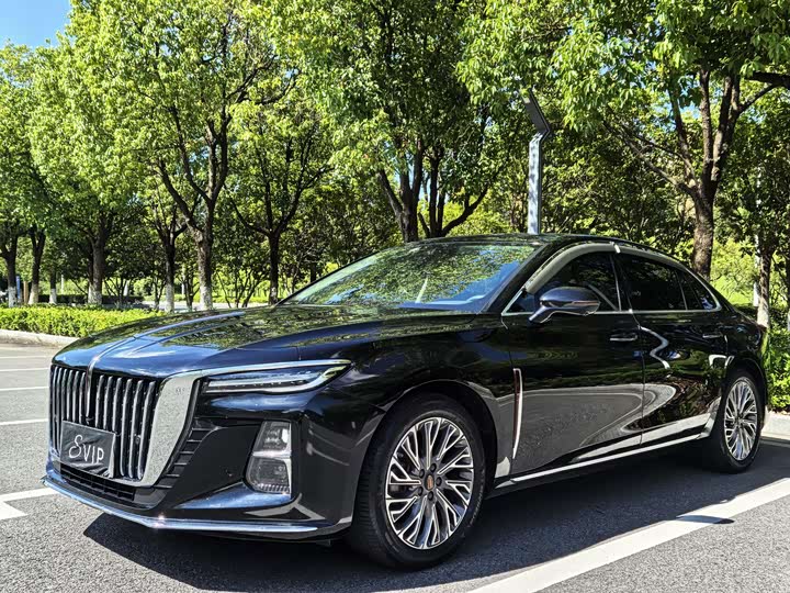 Hongqi H5 2023 2.0T Automatic Zhilian Qichang Edition