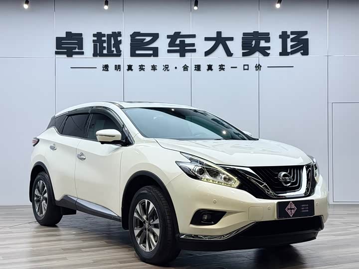 Loulan 2021 2.5L XL 2WD Intelligent Connected Deluxe Edition