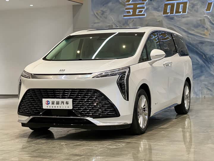 Century 2025 2.0T Six-seater Yuanshi Edition