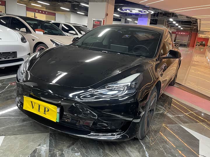 Model 3 2022 rear-wheel drive version