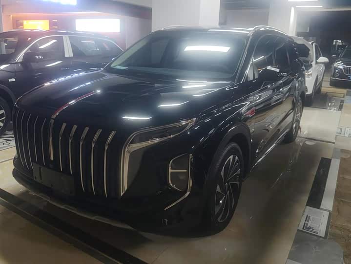 HS7 PHEV 2024 Model 2.0T PHEV 2WD Edition 6