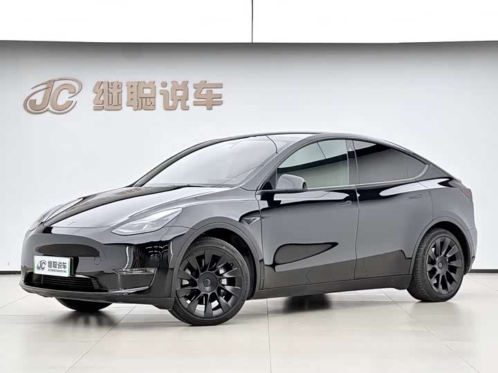 Model Y 2021 standard range rear-wheel drive version