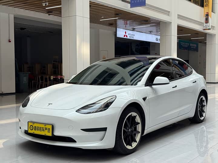 Model 3 2021 standard range rear drive upgraded version 3D6