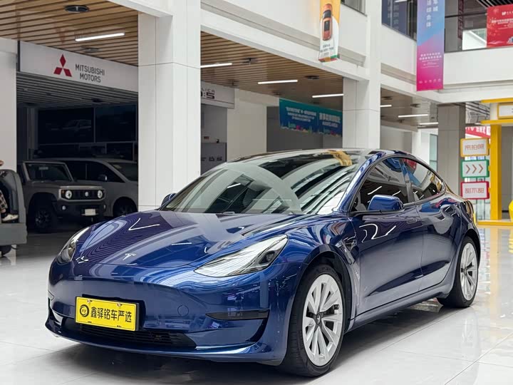 Model 3 2021 standard range rear drive upgraded version 3D6