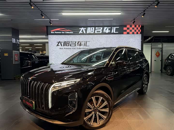 HS7 PHEV 2025 Model 2.0T PHEV AWD200Anniversary Edition 6