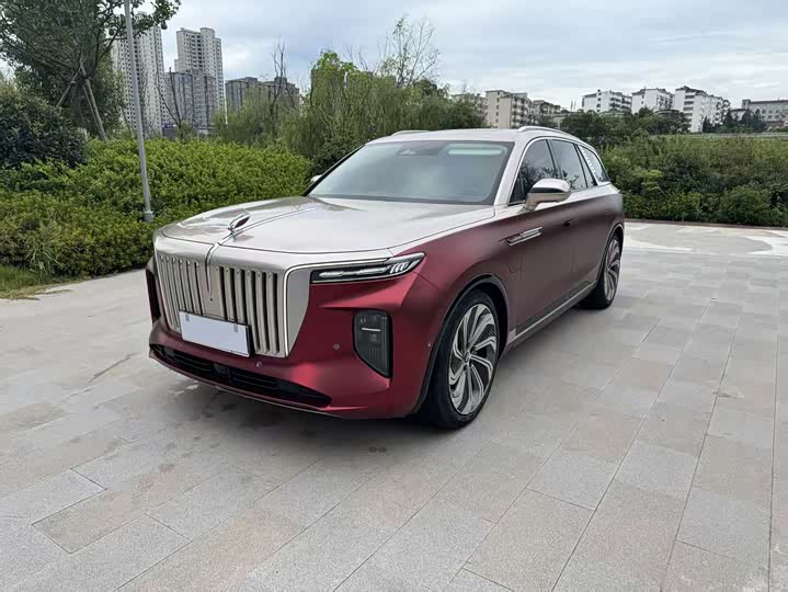 E-HS9 2021 Model 510km Edition