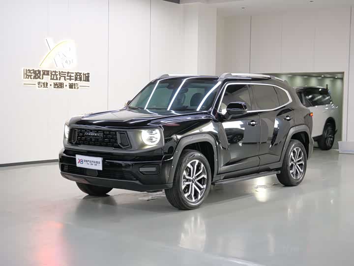 Haval Big Dog PLUS 2023 2.0T two-wheel drive wild version Plus