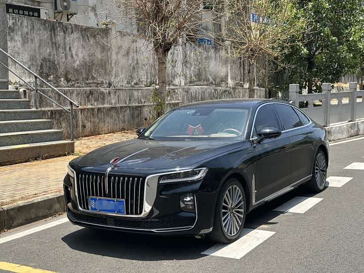 Hongqi H9 2020 2.0T Zhilian Qichang Edition