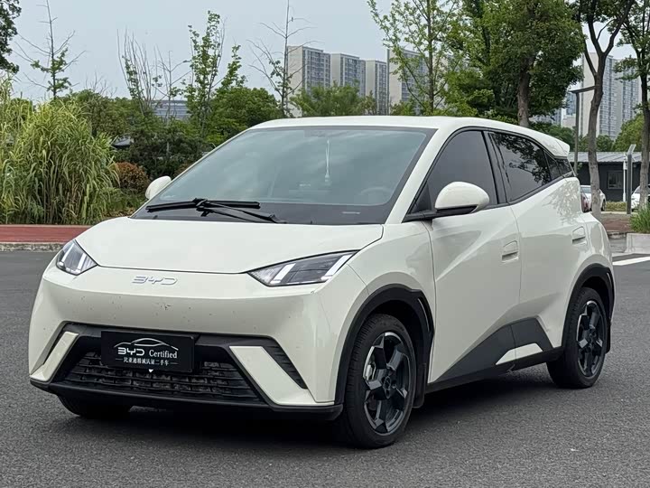 Seagull 2024 Honor Edition 305km Free Edition