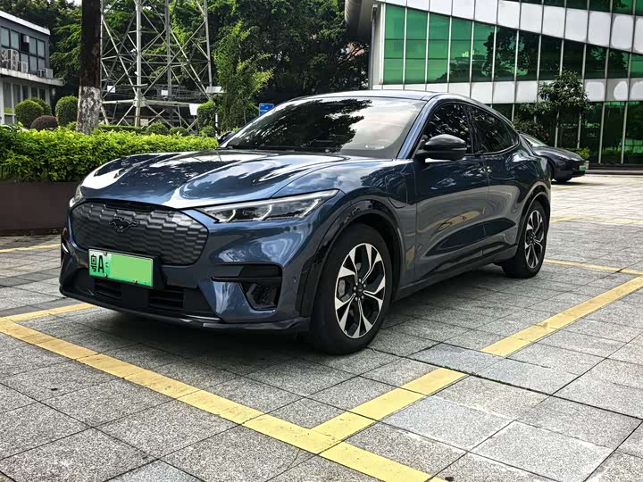 Ford Electric Horse 2021 Borderless Rear-Drive Deluxe Edition (Long Range)