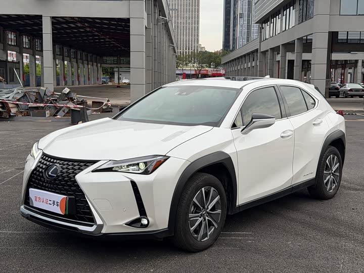2023 Lexus UX New Energy 2020 300e Pure Joy Edition