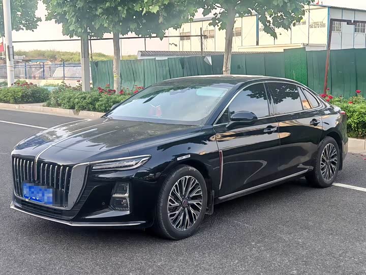 Hongqi H5 2025 2.0T automatic Qichang version