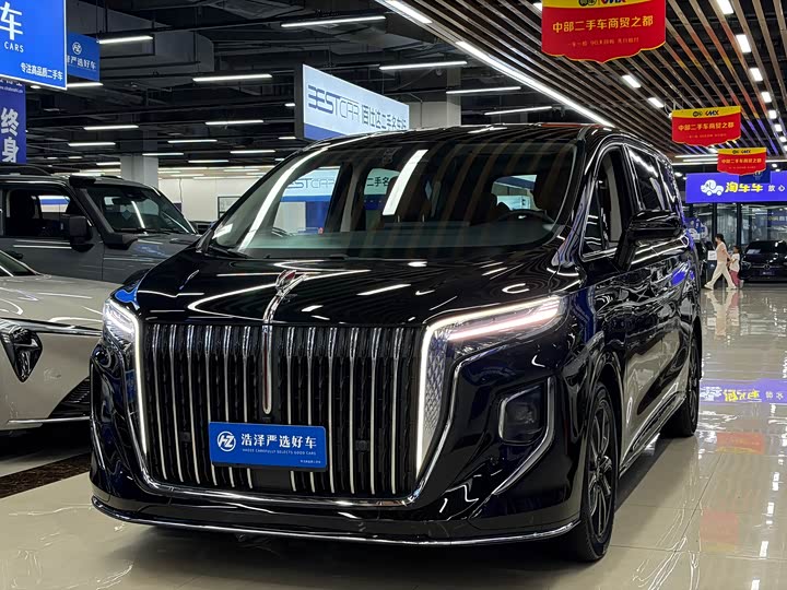 Hongqi HQ9 2023 2.0T Zhilian Qichang Edition