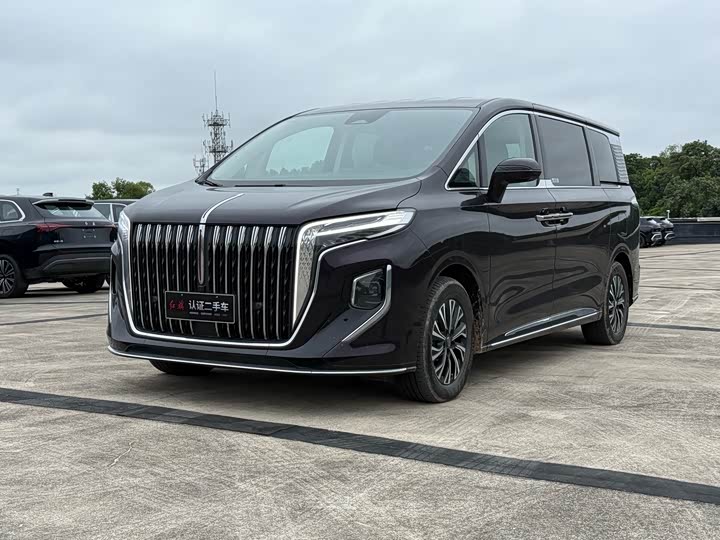 Hongqi HQ9 2024 2.0T Deluxe Edition