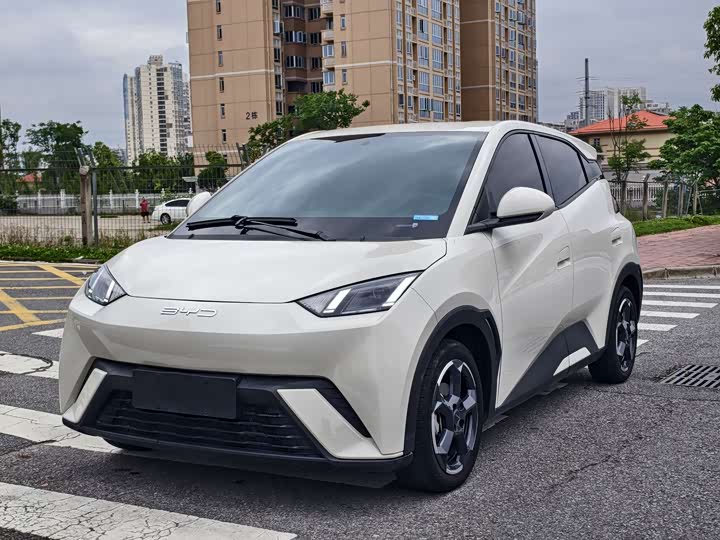2024 Seagull 2024 Honor Edition 305km Free Edition