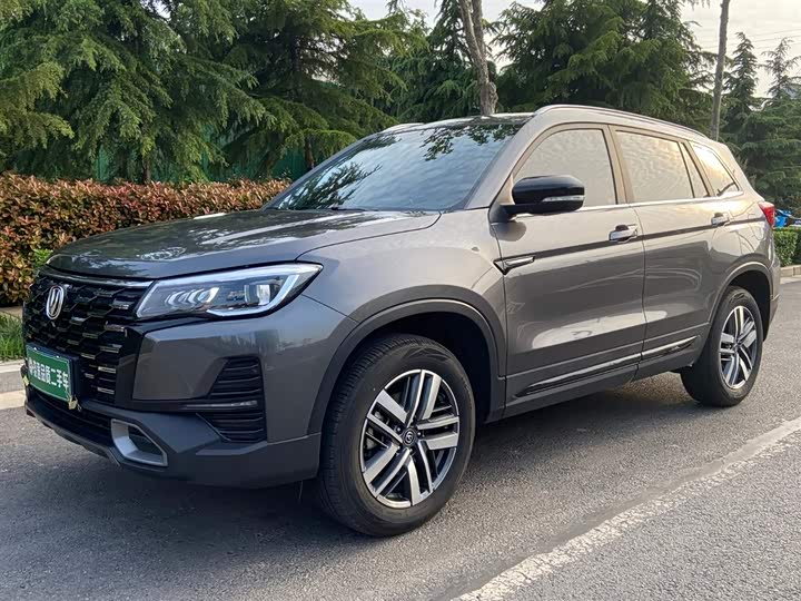 CS75 2024 Model Edition 1.5T DCTLuxury Version