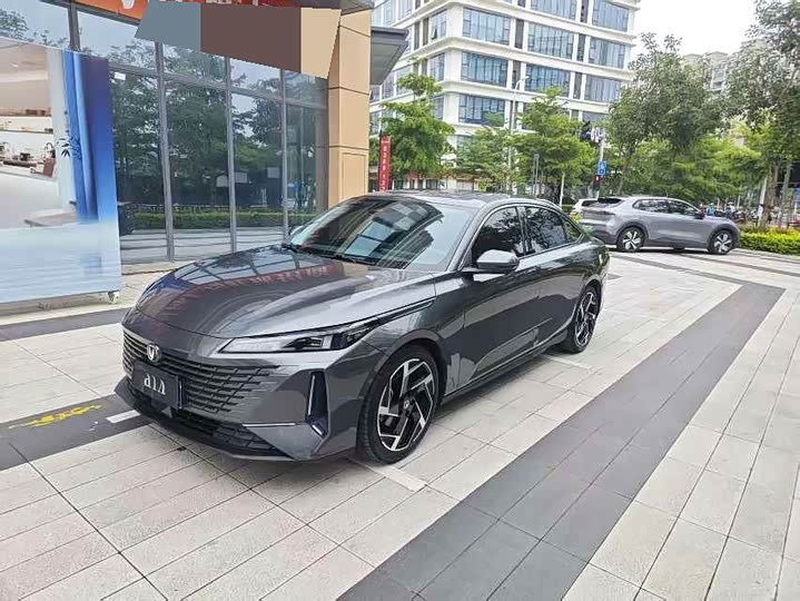 Yida 2023 Blue Whale NE 1.5T GDI DCT Flagship Type