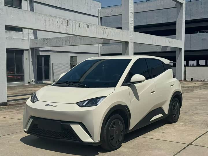 Seagull 2024 Honor Edition 305km Free Edition
