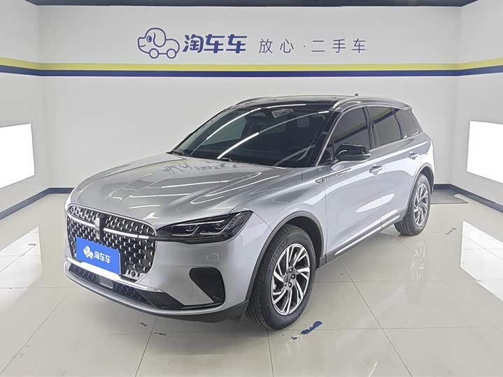 Adventurer 2024 2.0T two-wheel drive exclusive edition