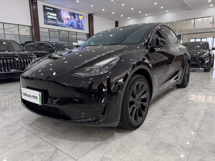 Model Y 2021 standard range rear-wheel drive version