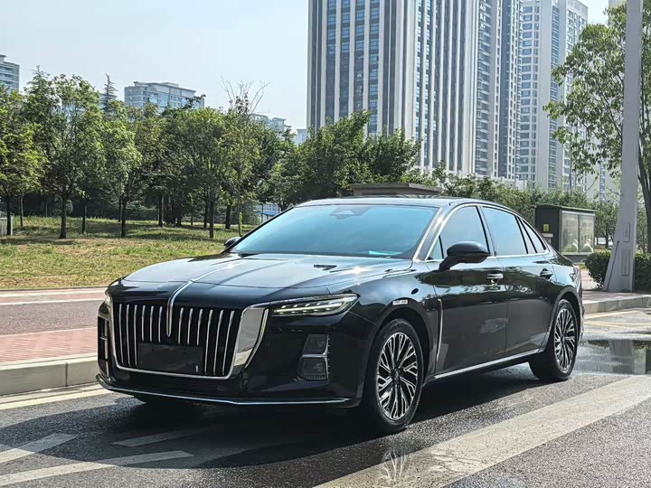 Hongqi H5 2024 2.0T Automatic Zhilian Qichang Edition