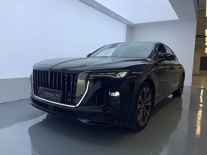 Hongqi H9 2024 2.0T Qichang Private Fashion Edition