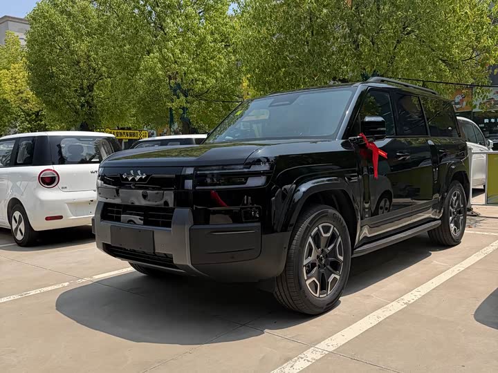 Titanium 7 2025 200KM two-wheel drive Max version