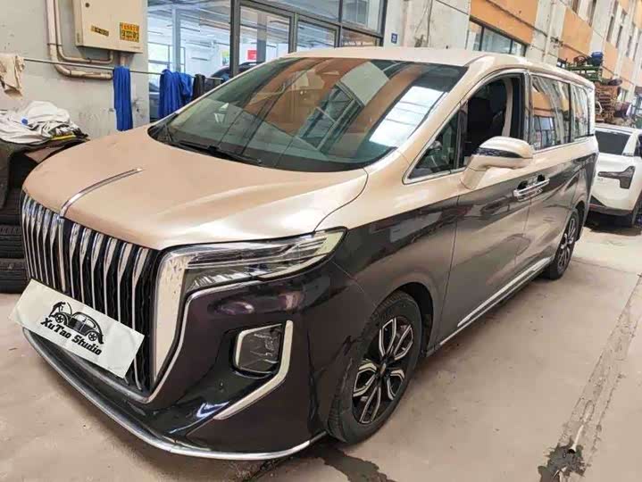 Hongqi HQ9 2023 2.0T Zhilian Qiling Edition