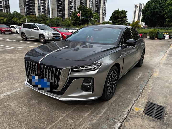 Hongqi H5 2025 2.0T automatic Qichang version