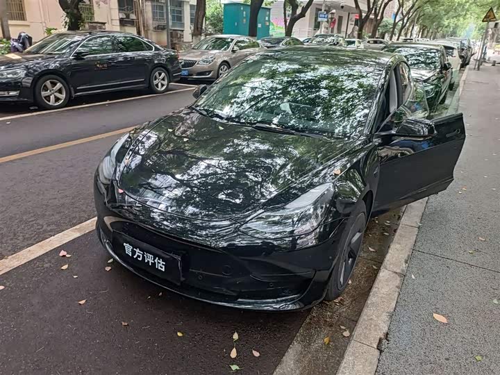 Model 3 2022 rear-wheel drive version