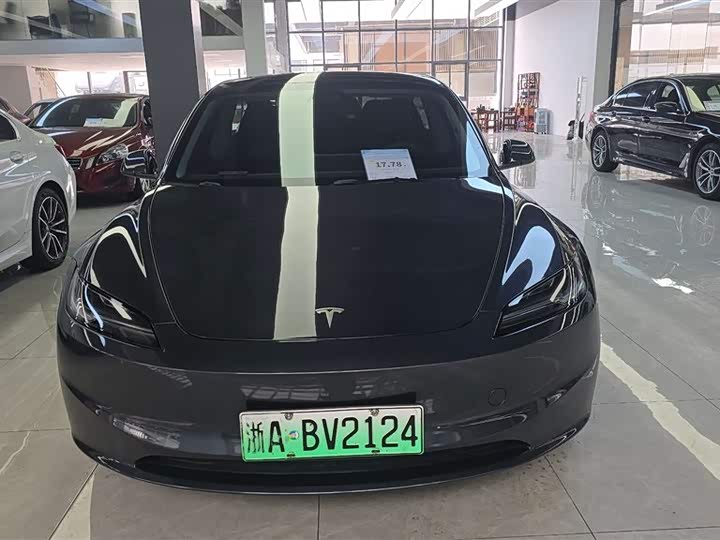Model 3 2023 rear-wheel drive version