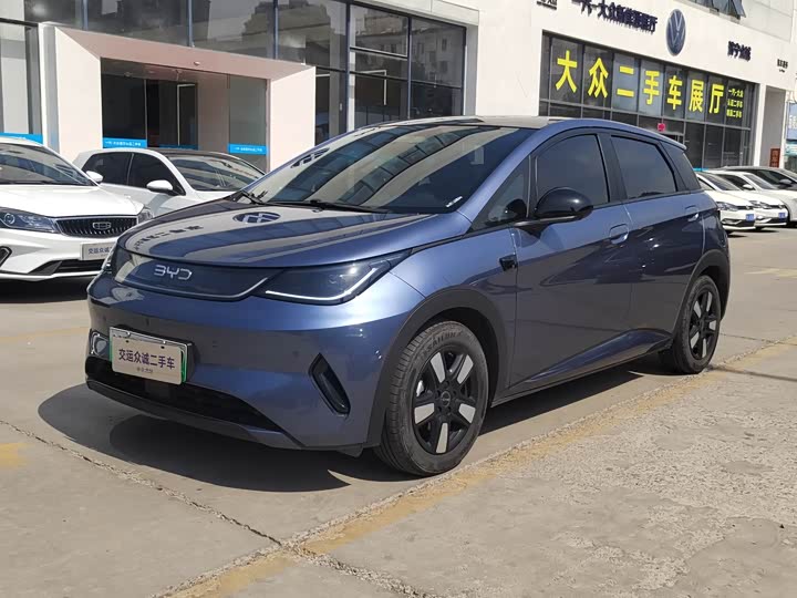 2025 Dolphin 2025 smart driving version 410km fashion version