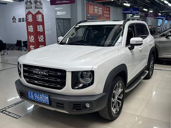 Haval Big Dog 2021 1.5T DCT two-wheel drive Border Collie version