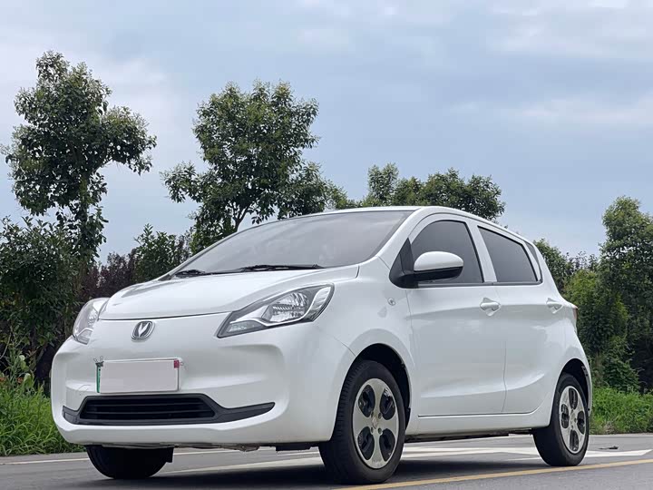 Changan Benben E-Star 2021 National Edition Xinyue Edition Lithium Iron Phosphate (31.18kWh)