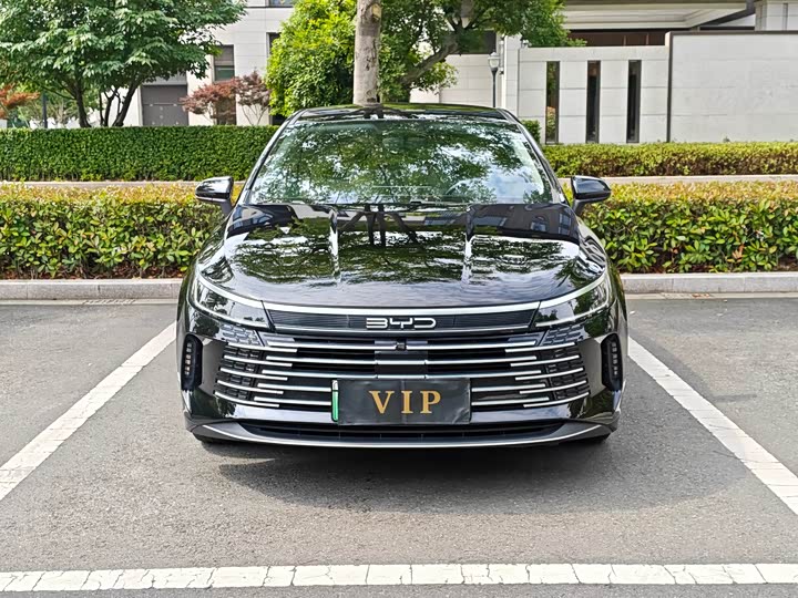 Destroyer 05 2024 Honor Edition DM-i 55KM Luxury Type