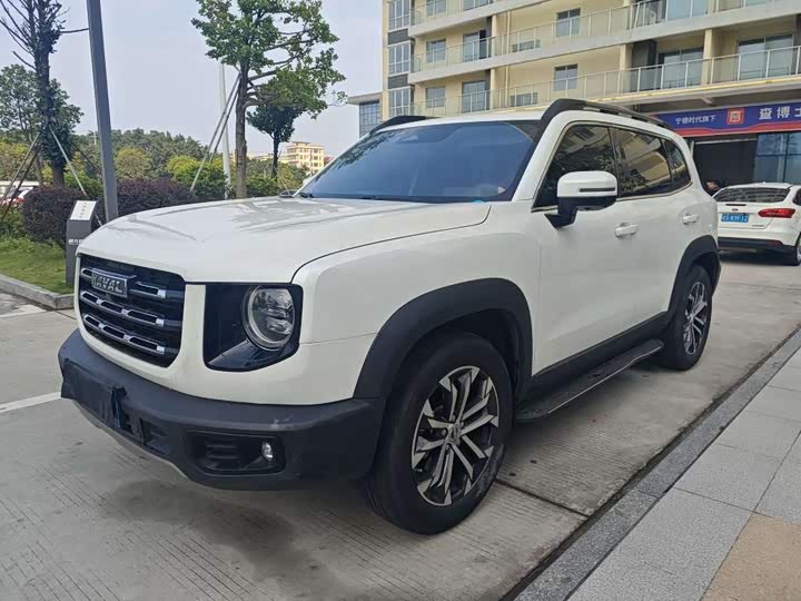 Haval Big Dog 2022 1.5T DCT two-wheel drive Border Collie version