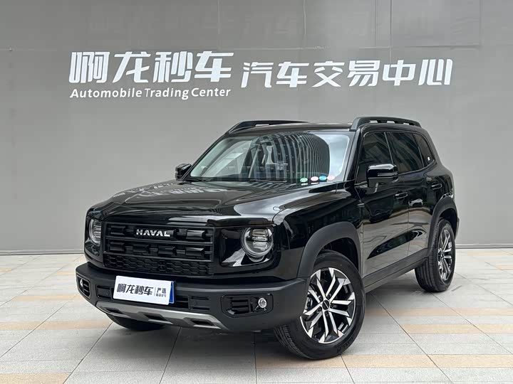 Haval Big Dog 2026 1.5T DCT Border Collie Edition