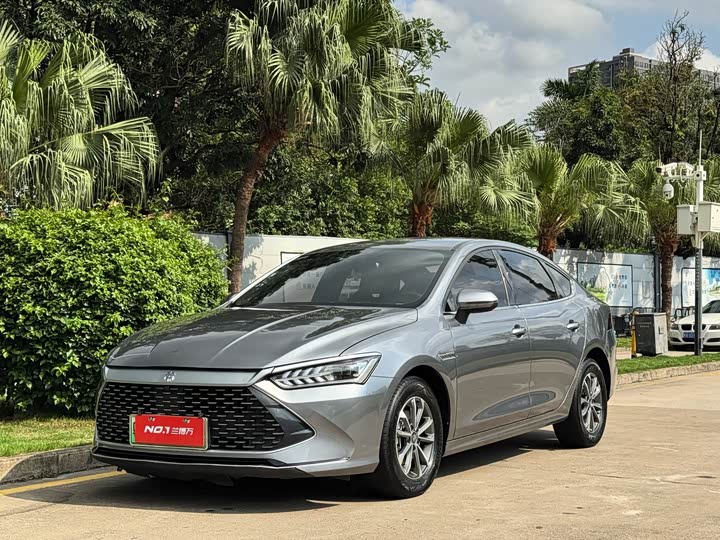 Qin PLUS 2024 Honor Edition DM-i 55KM Leading Type