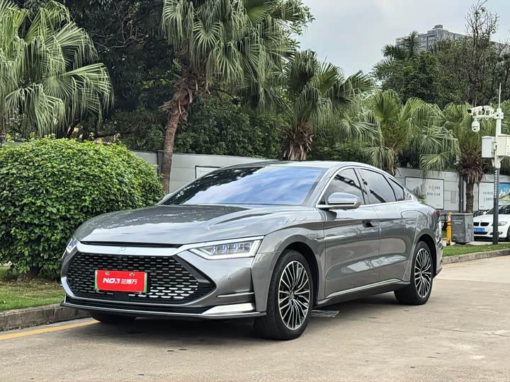 Han 2020 DM 4WD Performance Premium Edition