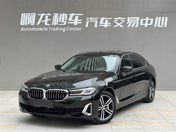 BMW 5 Series 2021 530Li Leading Luxury Package