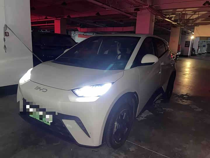 Seagull 2024 Honor Edition 305km Free Edition
